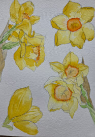 Watercolour Workshop: Blooms and Brushstrokes