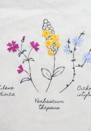 Wildflower Embroidery Experience