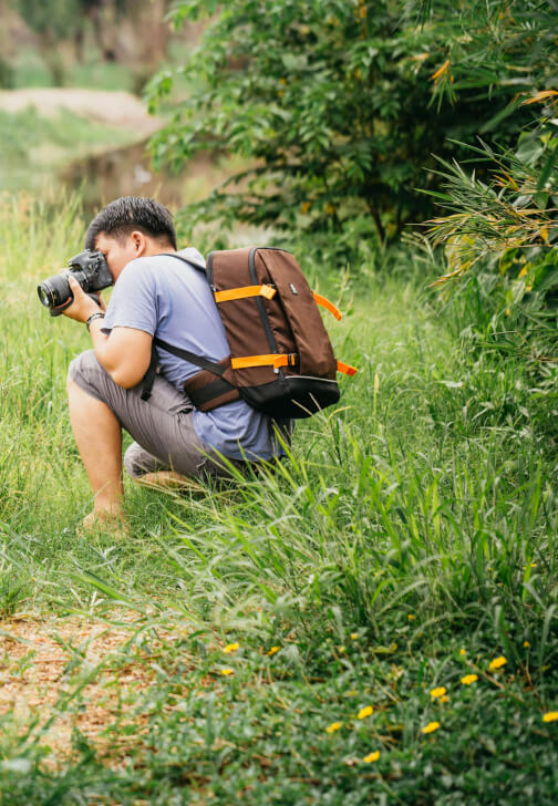 Wildlife Photography Workshop in Richmond Park