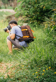 Wildlife Photography Workshop in Richmond Park