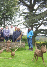 Willow Animal Sculpture Course - 2 Days
