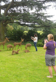Willow Animal Sculpture Course - 2 Days