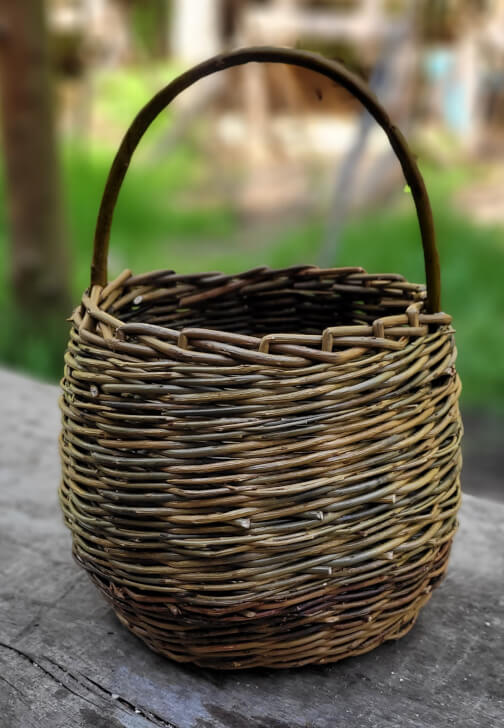 Willow Berry Basket Workshop