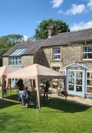 Willow Berry Basket Workshop