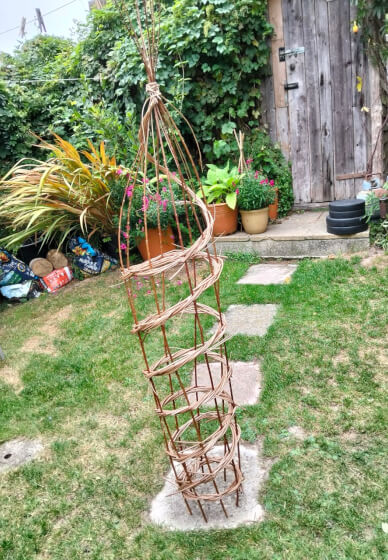 Willow Plant Climber Weaving Workshop
