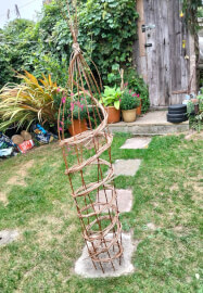 Willow Plant Climber Weaving Workshop