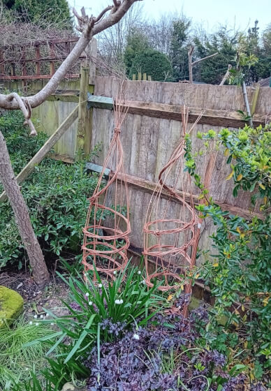 Willow Plant Climber Weaving Workshop