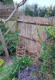 Willow Plant Climber Weaving Workshop