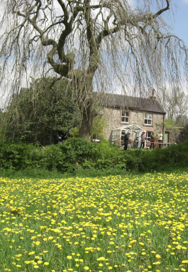Willow Sculpture Workshop: Create Your Own 3D Art
