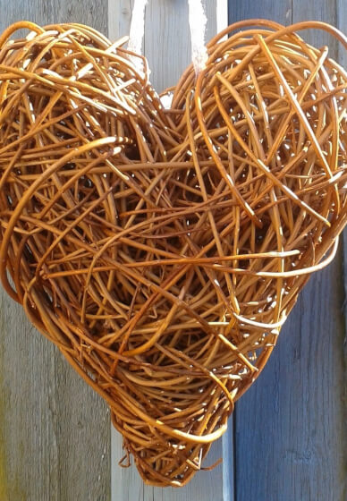 Willow Sculpture Workshop: Create Your Own 3D Art