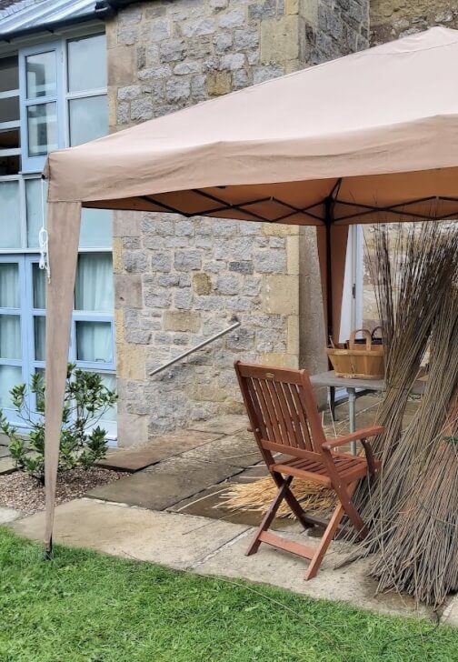 Willow Sculpture Workshop: Create Your Own 3D Art