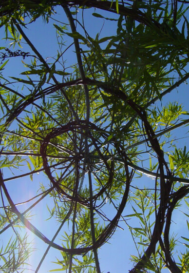 Willow Sculpture Workshop: Create Your Own 3D Art