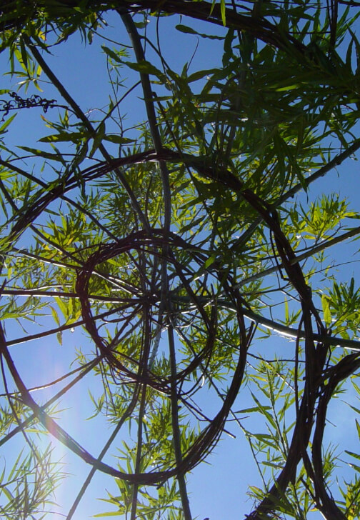 Willow Sculpture Workshop: Create Your Own 3D Art