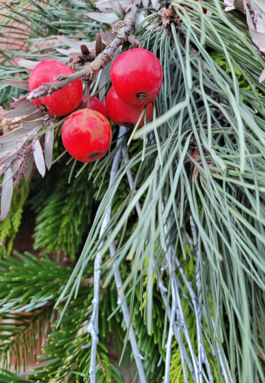 Winter Bird Feeding Door Swag Workshop