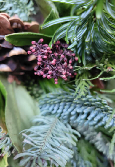 Winter Bird Feeding Door Swag Workshop
