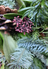 Winter Bird Feeding Door Swag Workshop