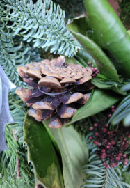 Winter Bird Feeding Door Swag Workshop