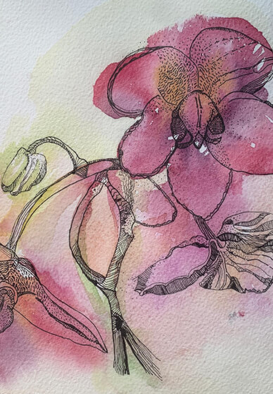 Women's Art Group: Fortnightly Creative Course