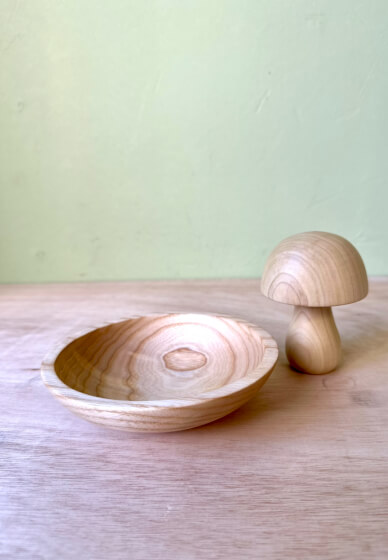 Woodturning Workshop for Beginners