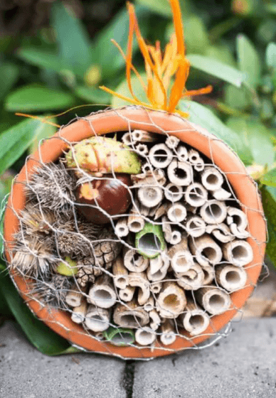 Wylde Explorers Nature Craft Class (Ages 7-10)