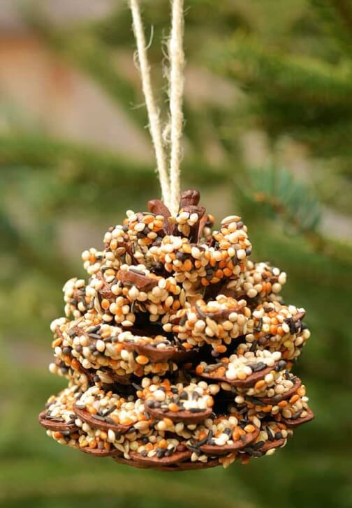 Wylde Kids Nature Crafts Class (Ages 3-6)