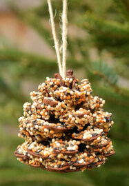 Wylde Kids Nature Crafts Class (Ages 3-6)