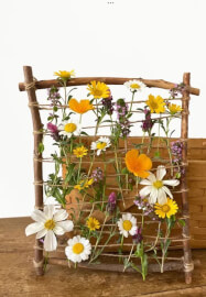 Wylde Kids Nature Crafts Class (Ages 3-6)