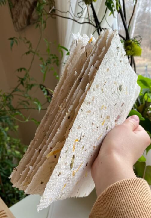 Wylde Nature Explorers Craft Class (Ages 7-10)