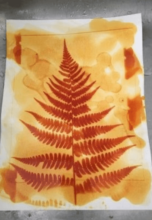Wylde Nature Explorers Craft Class (Ages 7-10)