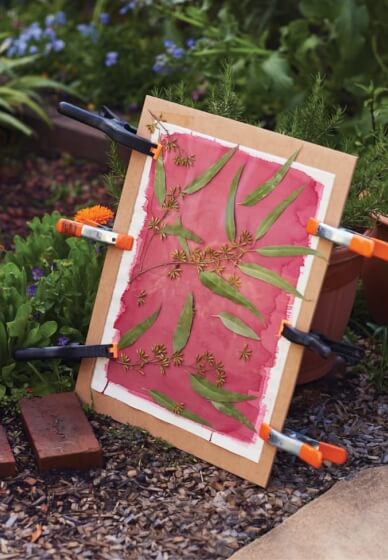 Wylde Nature Explorers Craft Class (Ages 7-10)