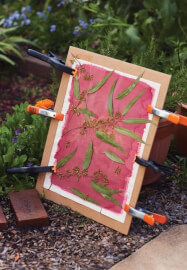 Wylde Nature Explorers Craft Class (Ages 7-10)
