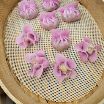 Add-on Advanced Dumplings