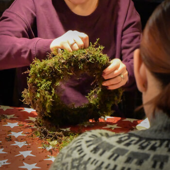 Create a moss base