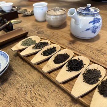 Discover the world of tea