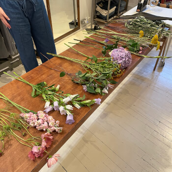 Meet the flowers