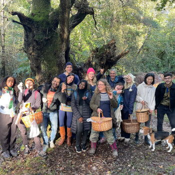 Guided Foraging Walk