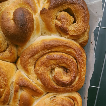 Bake your Buns!