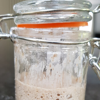 Begin Your Starter