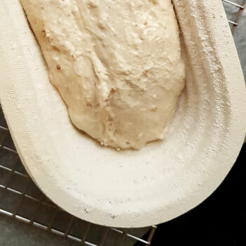 Shape Your Loaf