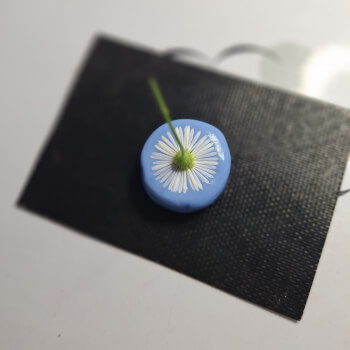 Making your mould
