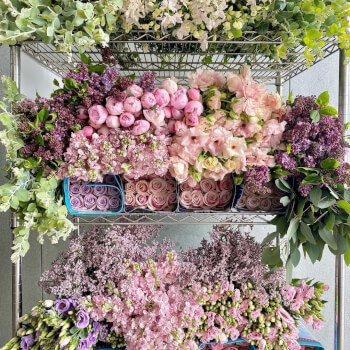 Settle In and Pick your Bloom