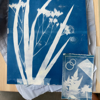 Week 1 - Mixed Media Cyanotype