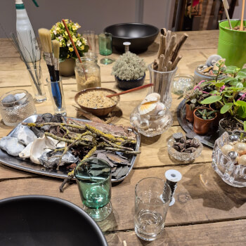 Introducing the world of succulents