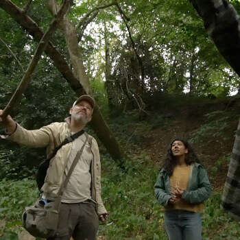 Finding Dry Wood 