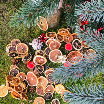 Get Decorating!