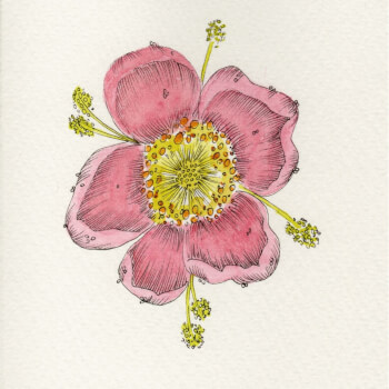 Exploring colour