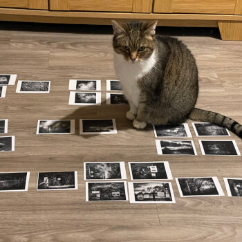 Cats can help with sequencing!