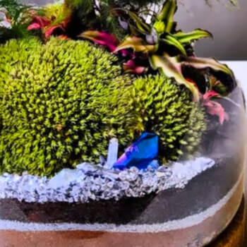 Living Moss Art 