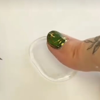 Casting & Preservation Techniques