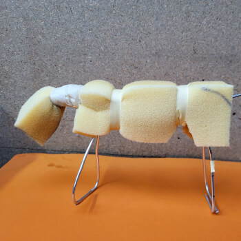 Wire Armature and Foam